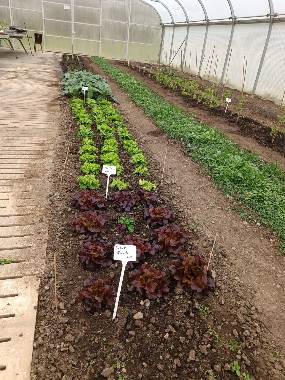 photo_2026-04-22_19-19-59