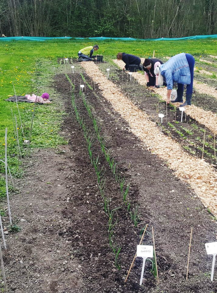 photo_2026-04-22_19-20-11